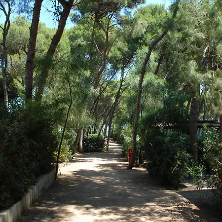 Kompleks wypoczynkowy Villaggio Pineta Al Mare