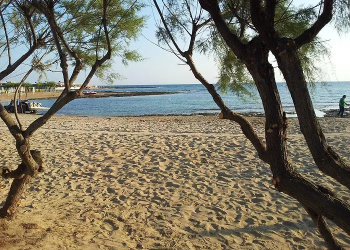 פארק נופש Villaggio Pineta Al Mare