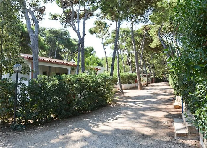 פארק נופש Villaggio Pineta Al Mare ספקיולה