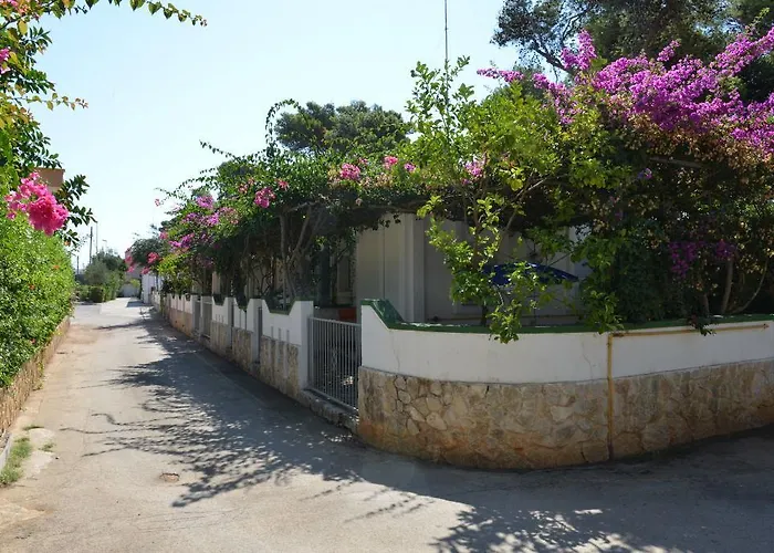 פארק נופש Villaggio Pineta Al Mare 3*