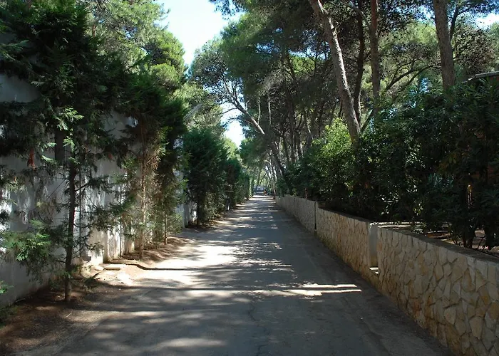 Villaggio Pineta Al Mare ספקיולה