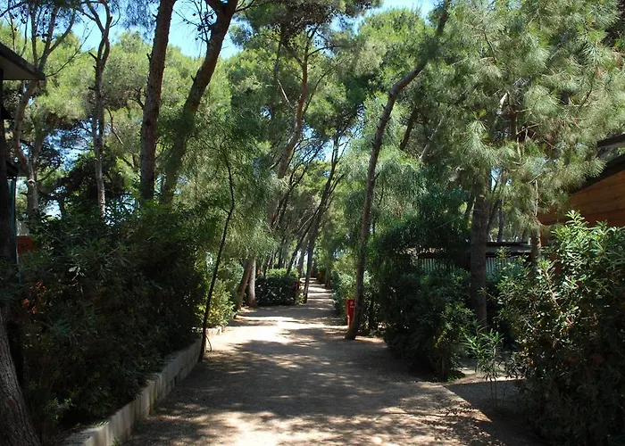 פארק נופש Villaggio Pineta Al Mare