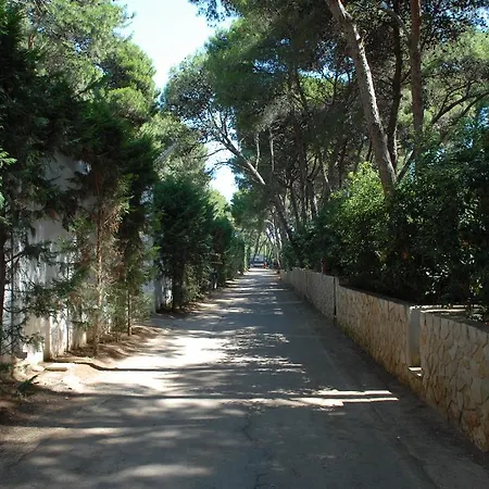 Villaggio Pineta Al Mare スペッキオッラ