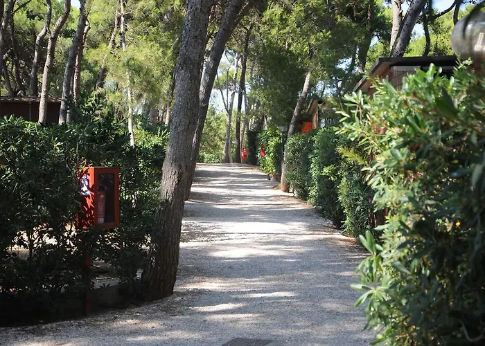 Holiday park Villaggio Pineta Al Mare Specchiolla